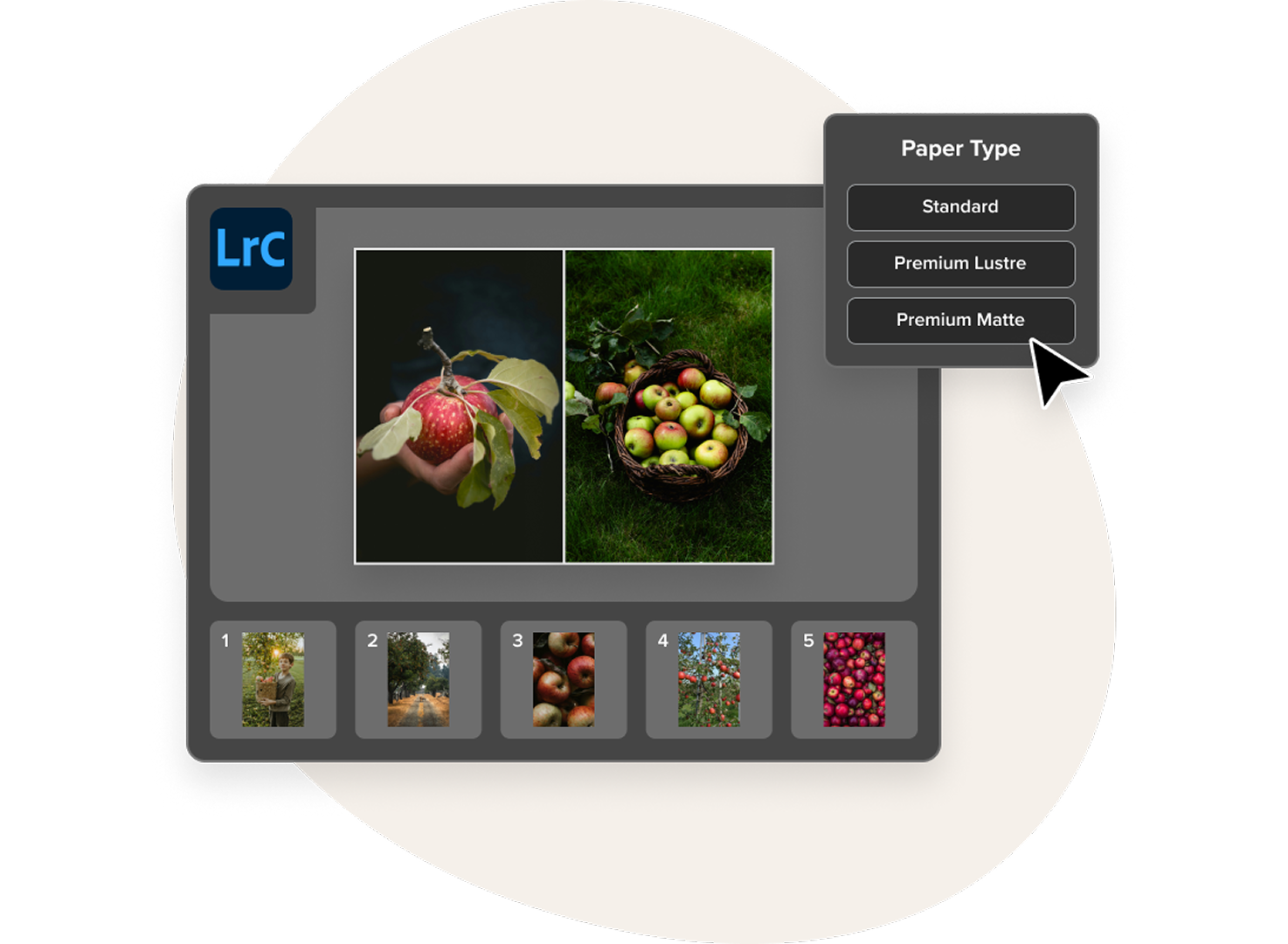 Blurb Book Module in Lightroom Classic interface showing a page spread preview, a photo collection, and the Paper Type modal.